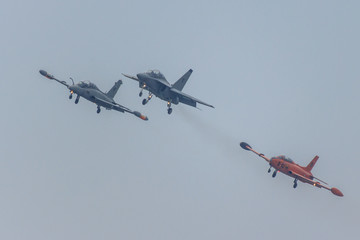 Aircrafts at the Milano Linate Airshow 2019
