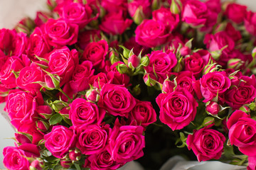 Close-up beautiful roses. Spring, summer, flowers, color concept. Flower delivery