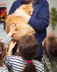 Showing a cat to kindergarten children, lesson about animals