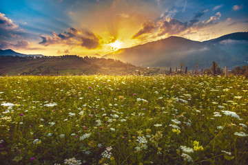 Obraz premium Beautiful simple landscape on the hills, flowers and beautiful clouds