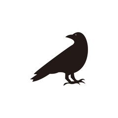 raven vector icon illustration sign