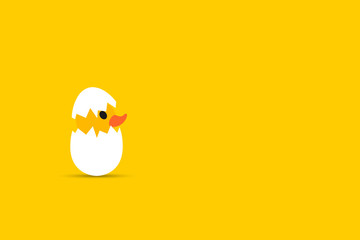 Duckling hatched, egg and yellow background.Empty space for text.