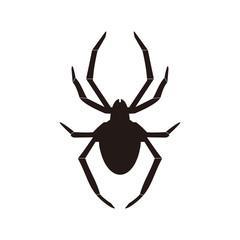 Spider vector icon illustration sign