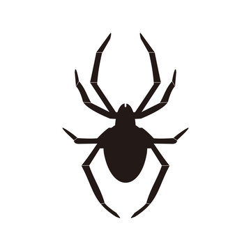 Spider vector icon illustration sign