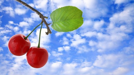 3d rendering of Cherries with leaves and stalks