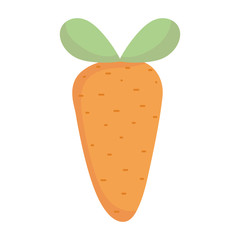 fresh carrot vegetable food cartoon icon style design