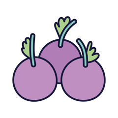 blueberries fresh fruit food cartoon icon style design