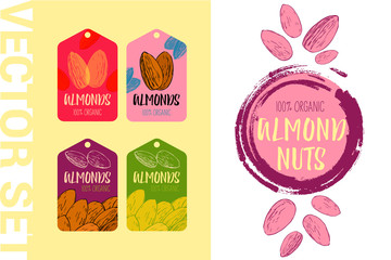 Naklejka premium Vector Almond nut design element. Hand drawn colorful labels. Ready to use nut illustrations with brush stroke elements. 100% organic almonds tag set. Creative nut stickers ready for print and web.