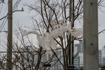 Carelessly thrown away agricultural pastic sheets landed in a tree after windy weather