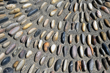 Close up of Park sidewalk paved with pebbles