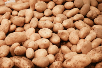 A plenty of potato in the market, potato background
