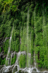 Beautiful and scenic view of Asik-asik Falls in Alamada, Cotabato, Philippines. Water from this waterfalls comes directly from the wall of a towering mountain.