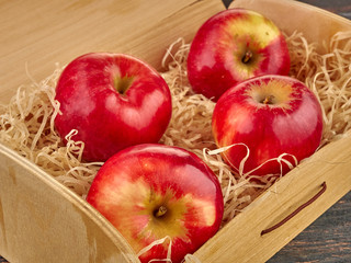 Bright beautiful red apples on a colored background