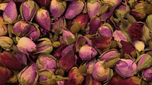 Panning on dry purple flowers