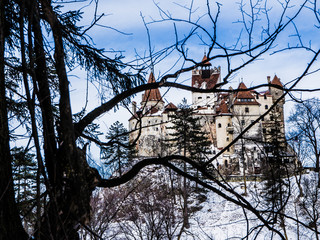 Castle Bran, Brasov, Romania in winter witha black tree frame