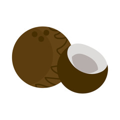 fresh and delicious coconut on white background