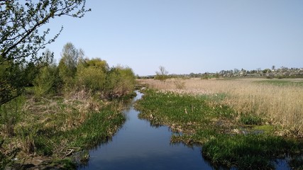 landscape with river
