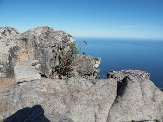 Kapstadt – Tafelberg