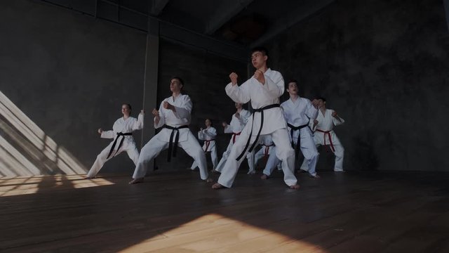 Overall or general view of brave students while they perform aggressive attack with leg kicks. Practice taekwondo or karate. Exercises with special breathing technique.