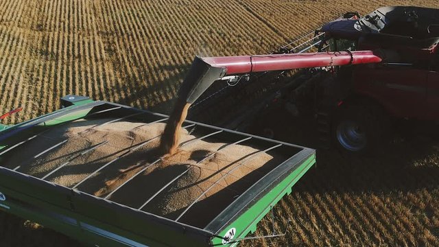 Combine Dumping Grain Into Tractor Grain Cart