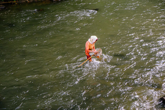 Woman catching freshwater fish in a river.