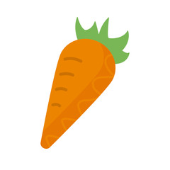 fresh and healthy vegetable, carrot on white background