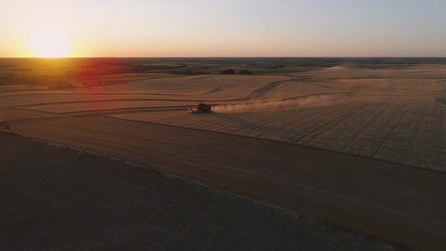 Harvesting wheat during a beautiful sunset