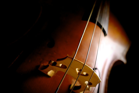 Vintage cello on a dark background. Cello details.
