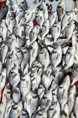 Obraz premium Dorada fish at a street fish market in the Turkish city of Kayseri
