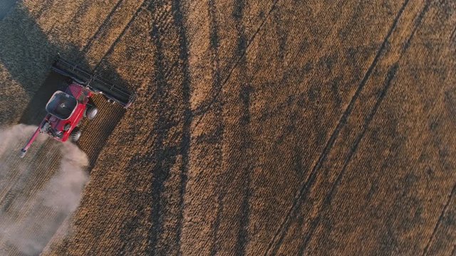 Rotating aerial of wheat harvest