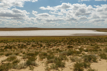 dried salt lake in the steppe of Kazakhstan, Aral District