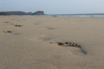 Fototapeta na wymiar A footprint in sand. Beautiful picture for official work. And it's HQ Picture