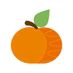 fresh and delicious tangerine on white background