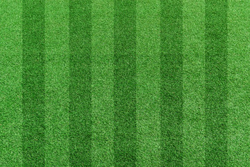Top view stripe grass soccer field. Green lawn pattern background