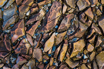 Brown stones texture close-up. Baltic sea, Estonia