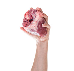 Fototapeta premium Human heart in hand isolated on white background. with clipping path