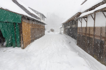 Fototapeta premium 雪の大内宿#7