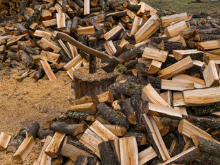 a landscape with a log of wood and an ax in the center
