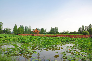 Retro style pavilion and lotus pond in Yinhuwan of Xinhui district, Jiangmen, South China's...