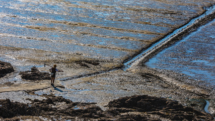A man who works on the beach