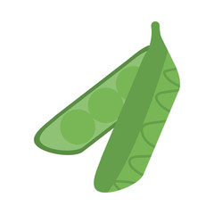 fresh and healthy vegetable, alverja on white background