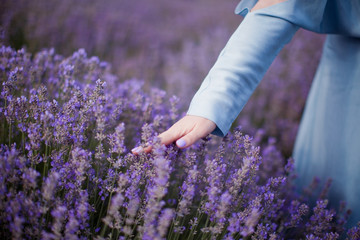 Woman in a blue dress at lavender field