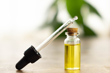 bottle of cbd hemp essential oil made of marijuana with eye dropper on plant background.  Medical, relaxing weed concept.