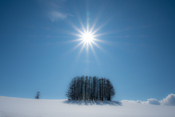 雪影の丘