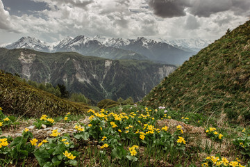 Fototapeta na wymiar Spring in the mountains