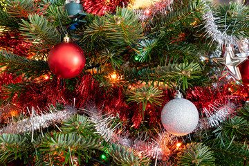 Christmas Tree and Decoration