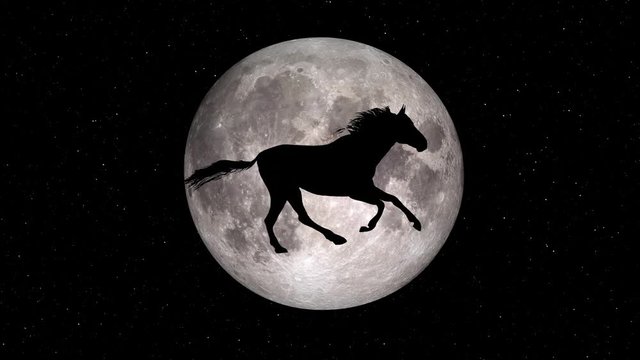 black horse running silhouette on full moon background loop new quality unique animation dynamic joyful 4k video stock footage