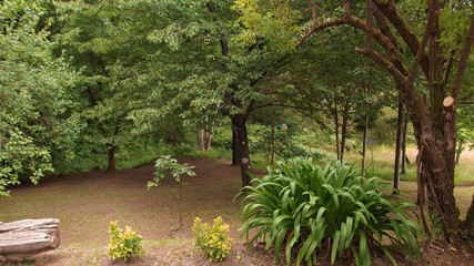 Native natural garden