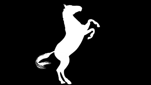 white light horse prancing silhouette loop new quality unique animation dynamic joyful 4k video stock footage