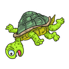 Tortoise collapse from sky. Animal cartoon.